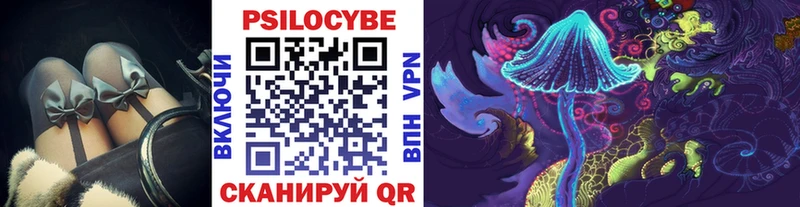 мега tor  Дальнереченск  Галлюциногенные грибы Psilocybe 